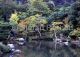 Pond and garden of Tenryu-ji Temple